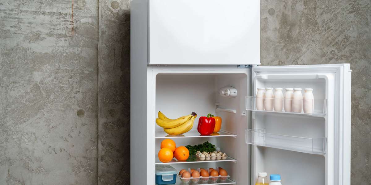 10 Easy Ways To Figure Out Your Freestanding Fridge